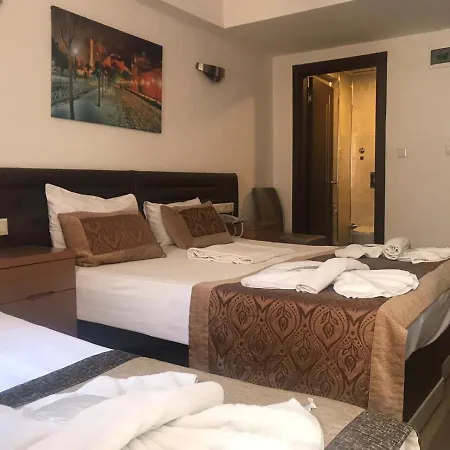 מלון Sultanahmet Milan Hotel&spa איסטמבול